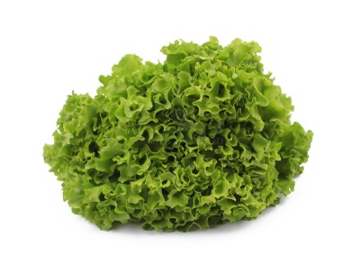 Салат айсберг 300 г - купить в Акташкасах